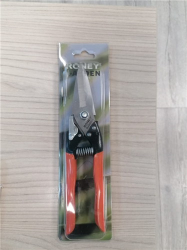 RONEY GARDEN KÖŞEBENT MAKASI 
